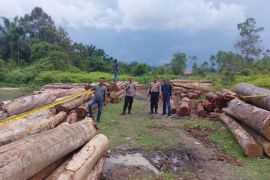 Polisi Kampar-Riau temukan 215 tual kayu diduga hasil pembalakan liar