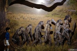 Bali kemarin, Pencurian di RSUP Sanglah hingga Bandara Ngurah Rai jadi yang tersibuk