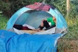 UPTD PPA Kaltim tindaklanjuti nasib bocah hidup terlantar di hutan