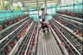 PASS tingkatkan perekonomian Ponpes Nurul Muhibbin Halong