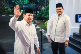 Jubir TKN: Prabowo dijuluki "Gemoy"