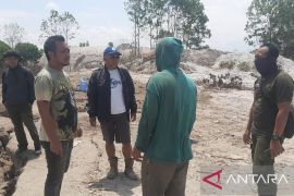 KLHK kembangkan Program UPSA tanam 4.000 bibit kayu putih di Bangka