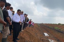 Kementan optimalkan lahan rawa di Sumsel tingkatkan produksi padi