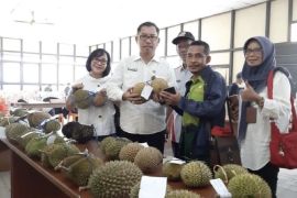Pemprov Kalbar gali potensi komoditas hortikultura melalui festival buah