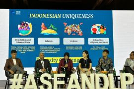 Indonesia miliki 'Avenger' untuk berperang lawan konten negatif