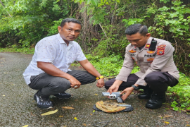 Warga Pidie serahkan senjata dan peluru sisa konflik Aceh ke polisi