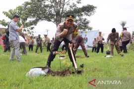 Forkopimda Sukabumi serentak tanam ribuan pohon cegah pemanasan global