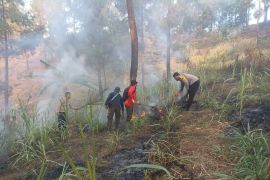 BPBD Trenggalek giatkan patroli hutan antisipasi karhutla meluas