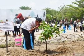 Manfaat tersembunyi daun nangka