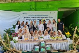 Berdayakan kelompok perempuan lewat program budaya menawan, PT Timah bantu ibu rumah tangga dapatkan penghasilan dari budidaya ayam