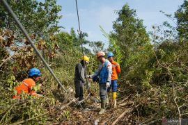 PLN targetkan penyelesaian pemulihan tower roboh lebih cepat