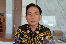 Batu bara PLTU terbakar, 40 warga Bengkulu terdampak sakit kulit-ISPA