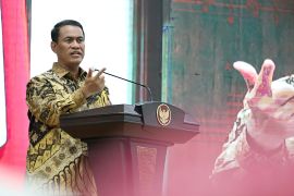 Mentan minta Kalsel perkuat akselerasi percepatan tanam