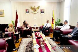 Dubes: Indonesia berpeluang kirim tenaga perawat ke Brunei