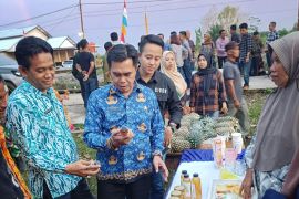 Bupati Ketapang resmikan Kampung Reforma Agraria Komoditi Nanas