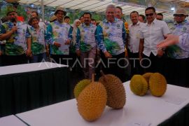 Festival buah dan florikultura Kalbar
