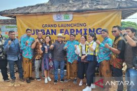 Komunitas Depok ubah lahan tidur jadi pertanian kota