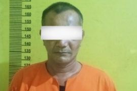 Pria di Rohil tega rudapaksa dua anak kandung bertahun-tahun