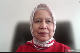 Peneliti UGM: Tidak ada kaitan radang otak dengan Wolbachia