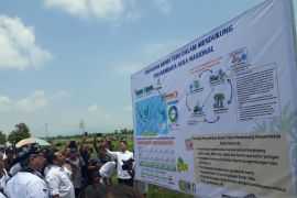 Kementan maksimalkan produksi tebu capai swasembada gula