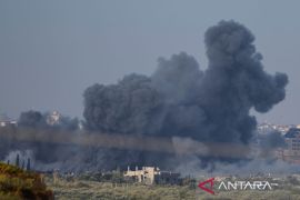 Menlu David Cameron: Pentingnya menambah bantuan ke Gaza