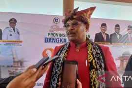 Babel genjot kontribusi tambang pasir tingkatkan PAD