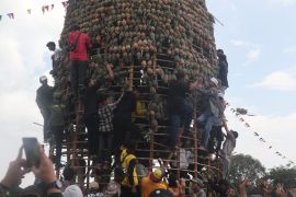 Pj Bupati Batola: Pesta nanas sukses menarik perhatian pengunjung