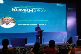 Menkop dan UKM sebut ada 9,11 juta koperasi dan UMKM nonpertanian di Tanah Air