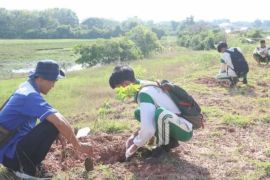 DPRKPLH Tanah Laut gelar tanam pohon di kawasan Danau Bom