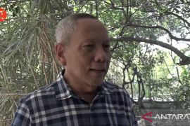 Pakar: Separuh penduduk dunia berisiko terjangkit dengue