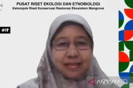 KLHK minta dukungan dan keterlibatan berbagai pihak untuk rehabilitasi 600 ribu hektare lahan mangrove