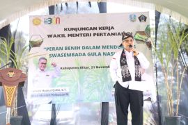 Govt striving to raise sugar production