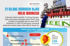 21 kilang hidrogen hijau milik Indonesia
