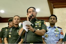 Panglima TNI: Pendekatan "smart power" di Tanah Papua