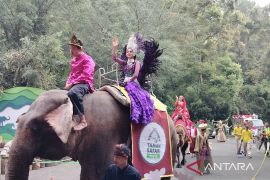 Taman Safari Bogor siapkan "hutan menyala" sambut liburan tahun baru