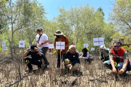 PMI resmikan 'Manggarai Mangrove Center' sebagai lokasi mitigasi hijau