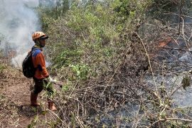 Kebakaran Gunung Panderman di Kota Batu dilaporkan padam