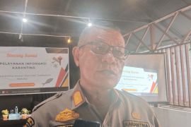 Badan karantina Maluku intensif awasi distribusi unggas pembawa penyakit