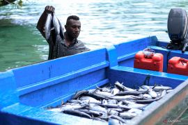 Konservasi Indonesia dan KKP bahas pengelolaan kawasan konservasi laut