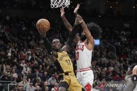 Coby White bersinar dalam debut, meski Bulls kalah lawan Jazz