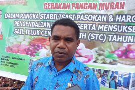 Dinas Pertanian Biak sediakan pangan murah di pameran STC