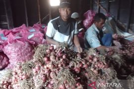 Tapsel akan buat kampung bawang atasi inflasi