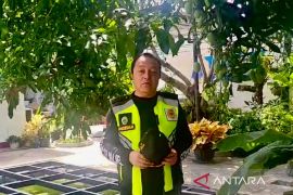 Perkebunan buah "kasturi" tandai HUT ke-43 RAPI Nasional 2023