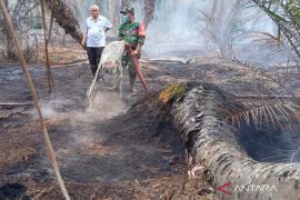 Mukomuko diliputi kabut asap beberapa hari terakhir akibat kebakaran lahan gambut