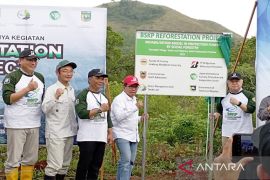 ULM reboisasi hutan seluas 100 hektare di Tanah Laut