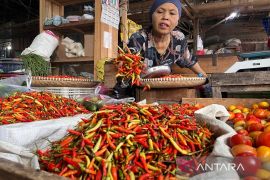Harga cabai di Tanah Bumbu semakin "pedas"