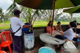 Ini manfaat menyelupkan lem pada batik Bali biar tidak luntur