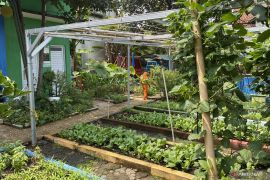 Kota Bandung kembangkan pengolahan sampah jadi kompos