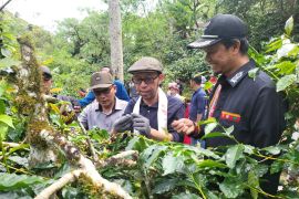 Festival Panen Kopi Gayo 2023 dorong pemajuan desa