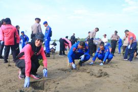 Peduli lingkungan pesisir, Polairud Maluku tanam 2.000 bibit mangrove